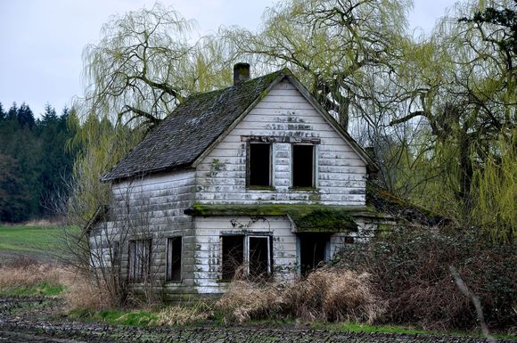 Type of properties we buy