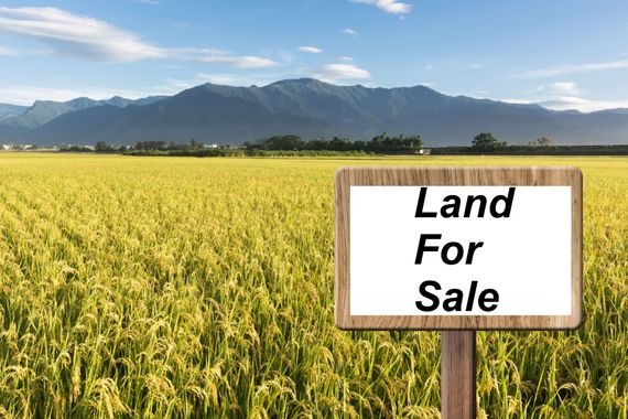 Land For Sale