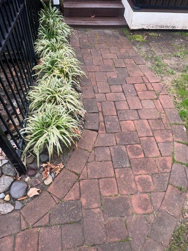 A brick walkway leading to a house with plants on the side.