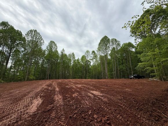 Dirt field in front of a forest under a cloudy sky.