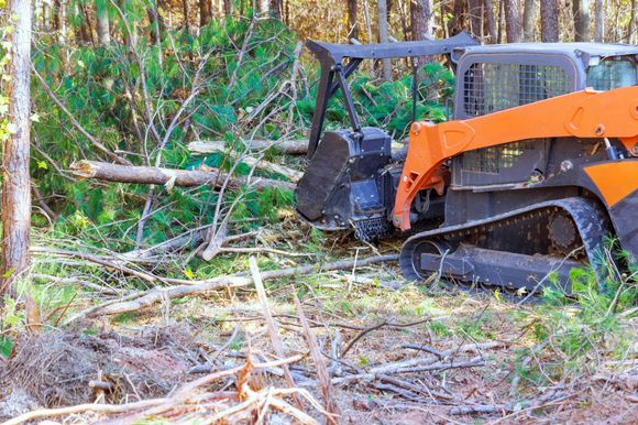 Orange and black skid steer with forestry mulcher clearing brush in a wooded area.