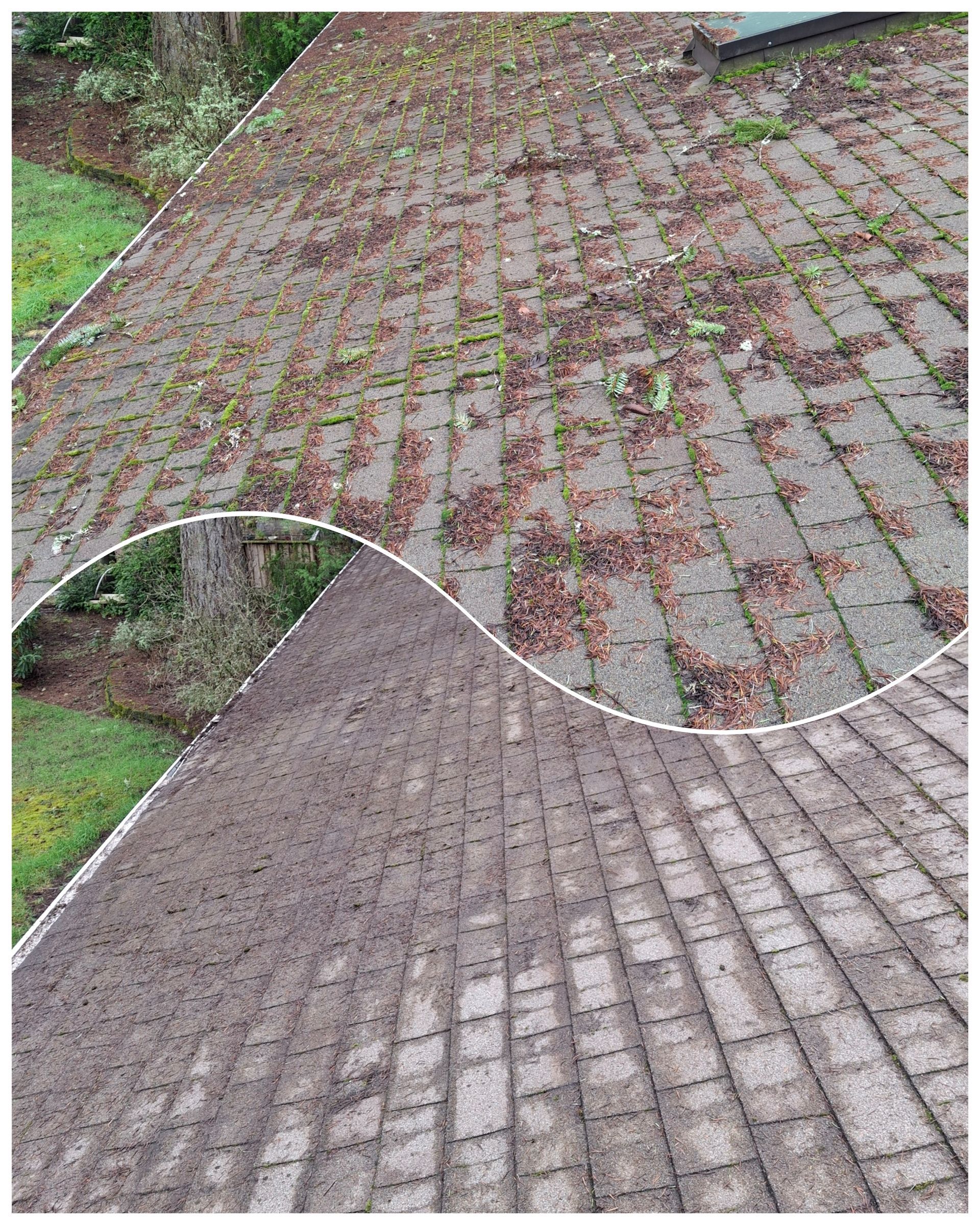 A before and after image of a mosscovered roof and a clean roof after cleaning.