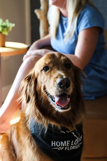 Tracie's golden retriever named Doc