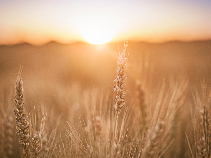 aerial view of church