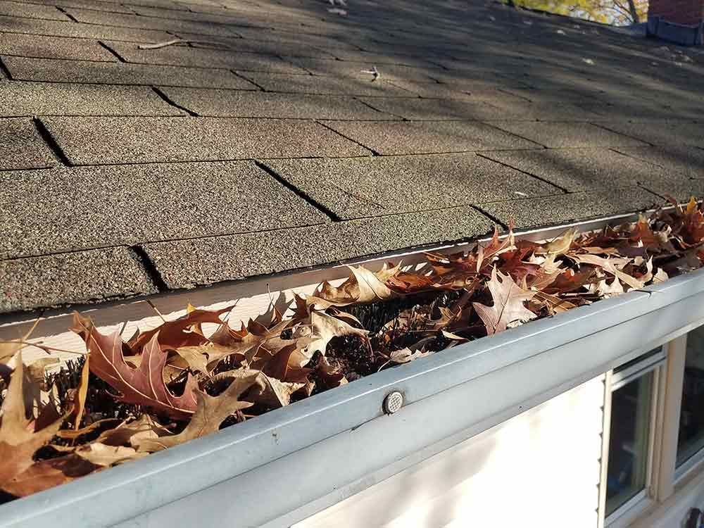 An unguarded gutter filled with leaves and debris