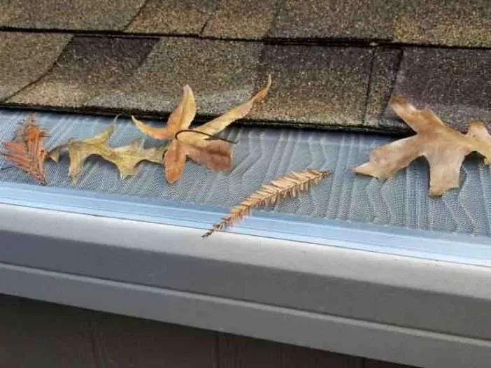 Gutters with leaf protection — Charleston, SC — The Gutter Gorilla