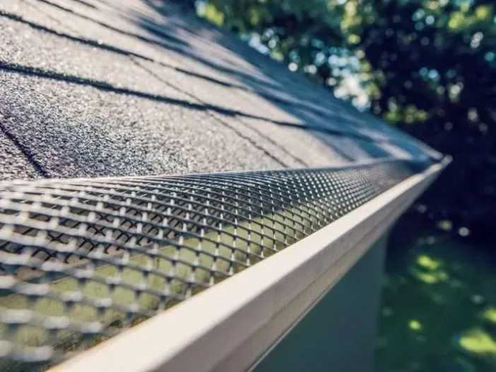 A mesh guard going over a rain gutter — Charleston, SC — The Gutter Gorilla