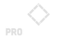 Prointerlock LOGO