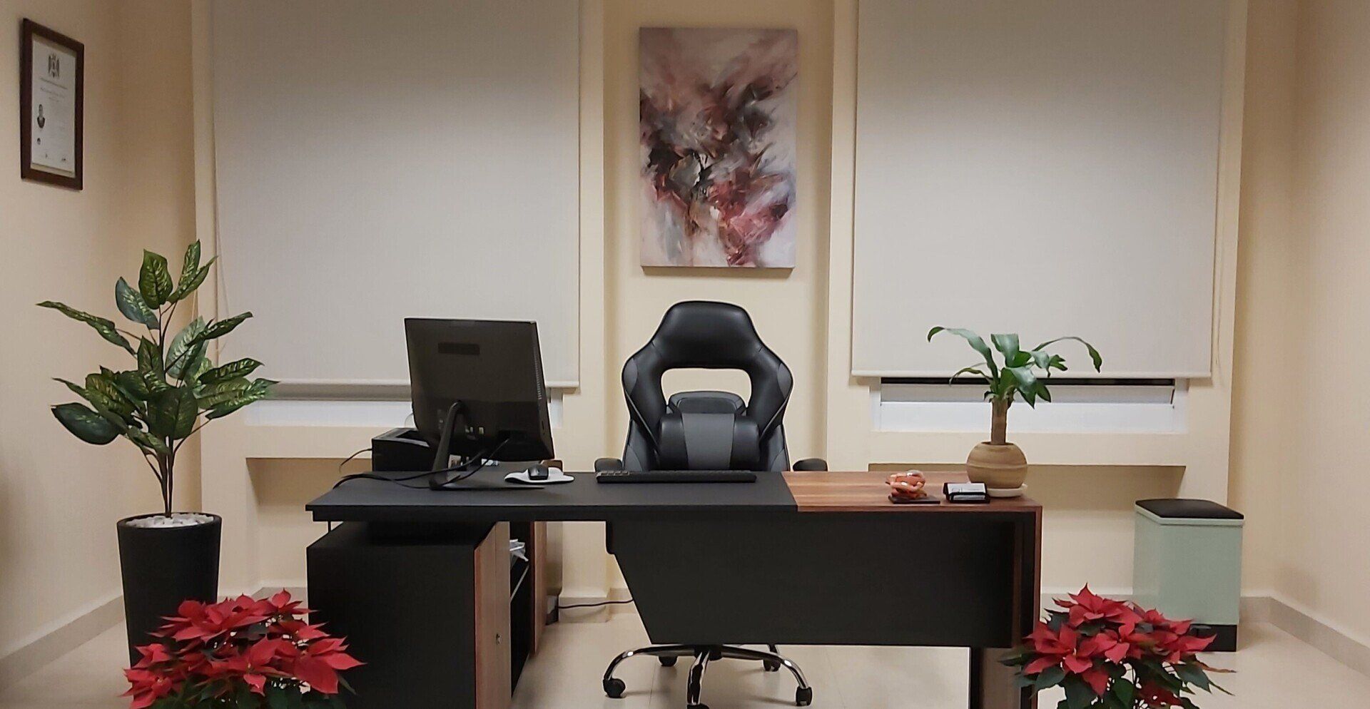 Una oficina con escritorio, silla, computadora y plantas.