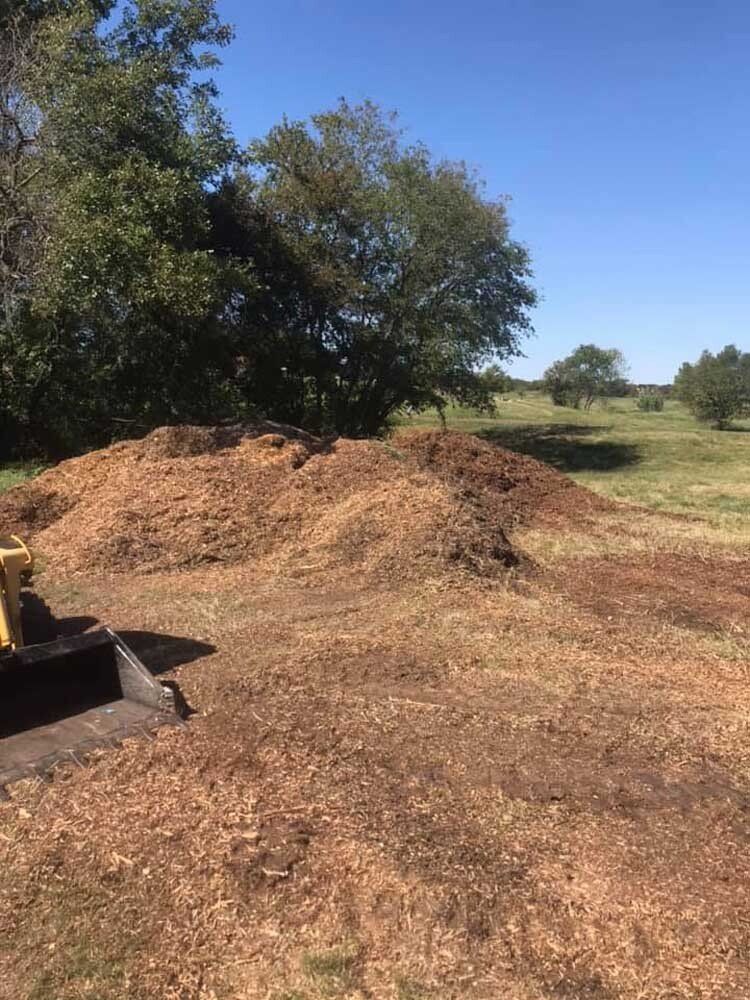 LAND AND PROPERTY MANAGEMENT