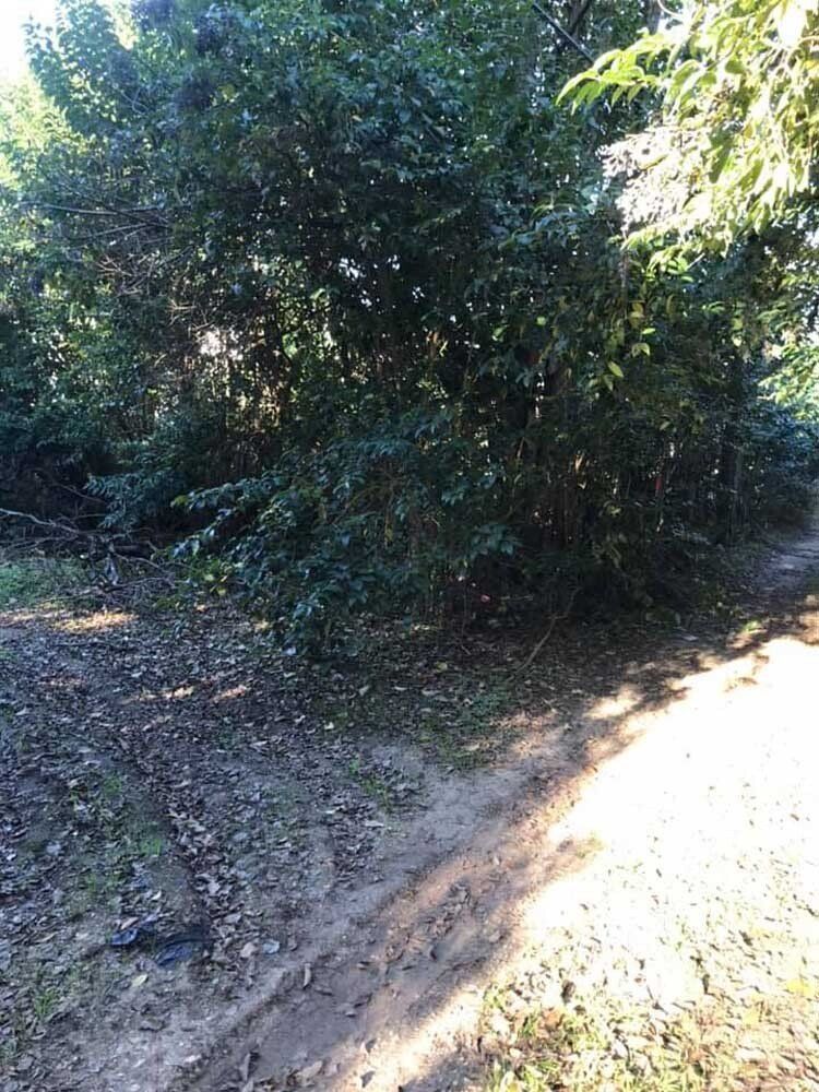 LAND AND PROPERTY MANAGEMENT