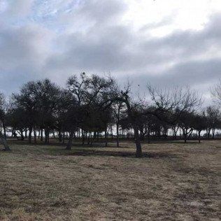 LAND AND PROPERTY MANAGEMENT