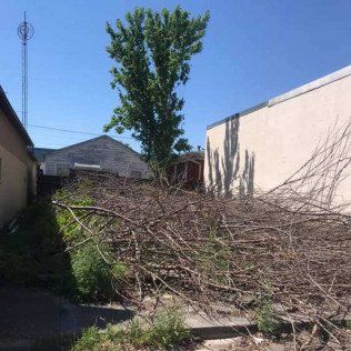 LAND AND PROPERTY MANAGEMENT