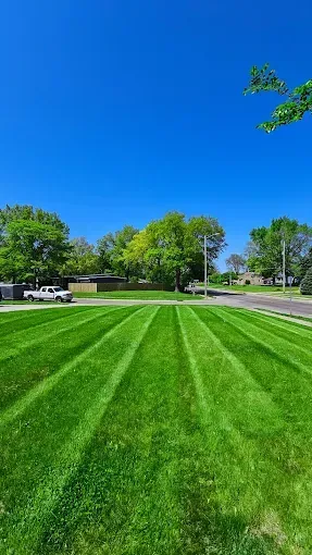 A suburban lawn with freshly cut, alternating light and dark green grass stripes under a clear blue sky.