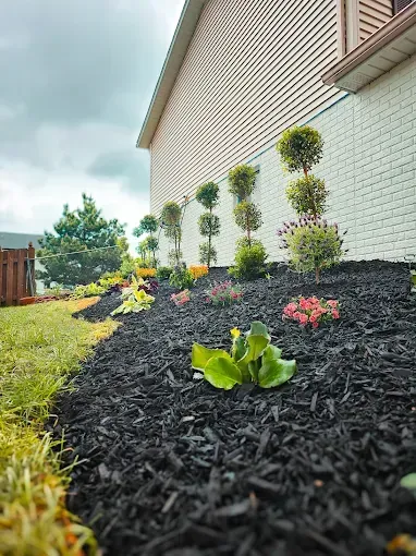 A slanted garden bed with black mulch, tiered shrubs against a white brick house, and small plants under a cloudy sky.