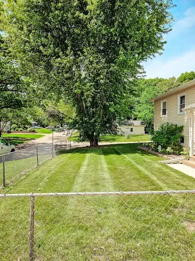A mowed grassy yard with distinct lawnmower stripes leads toward a large tree and a tan house under a sunny blue sky.