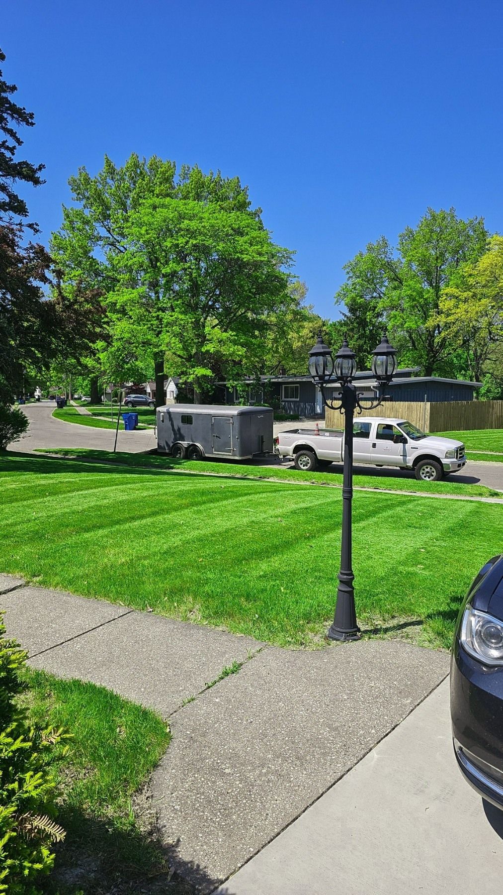 A freshly mown lawn in a suburban neighborhood under a clear blue sky, with a truck, a trailer, and a lamp post nearby.
