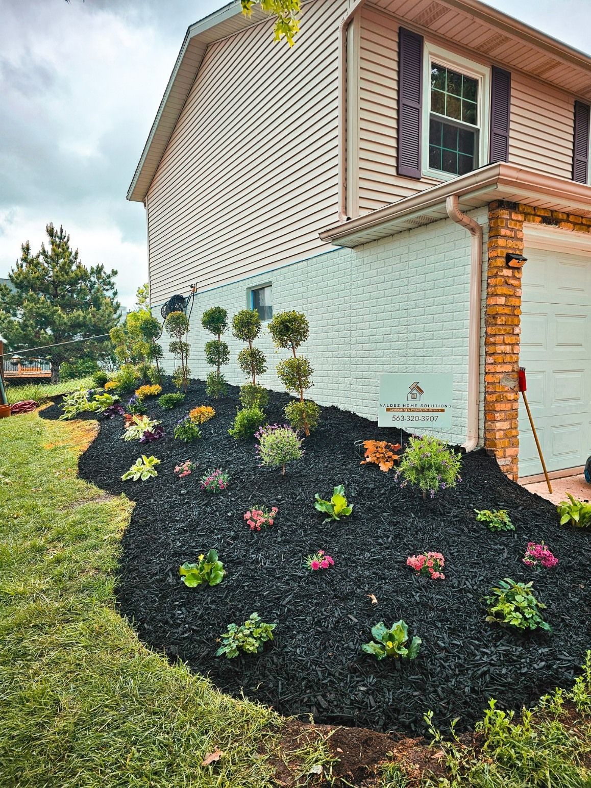 A garden bed with dark mulch and various small green plants and shrubs along the side of a light-colored house.