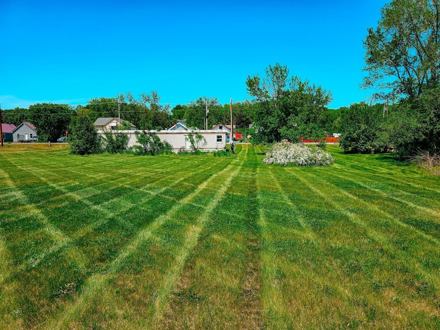 A large, freshly mowed grassy yard with distinct striped patterns under a bright blue sky, with a small house in the back.