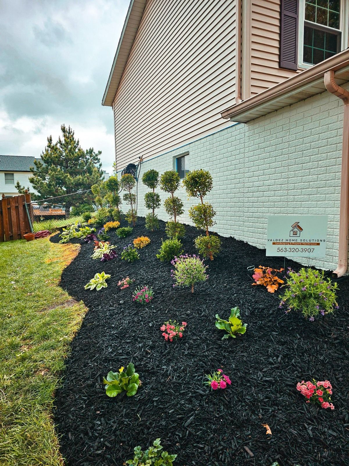 A freshly mulched flower bed with small shrubs and flowers planted along the white brick side of a house.