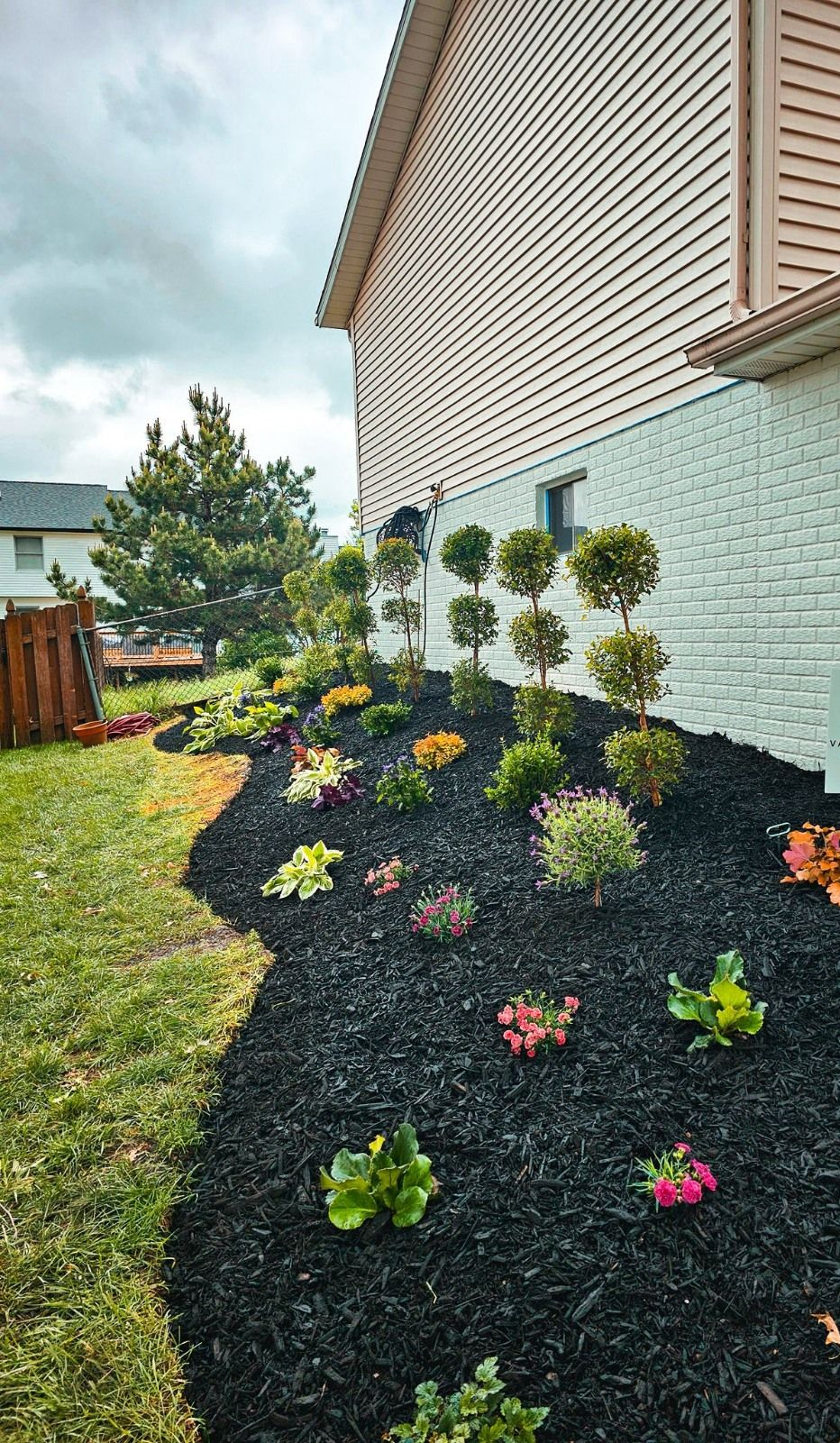 A garden bed with dark mulch, small decorative shrubs, and various flowering plants against the side of a house.