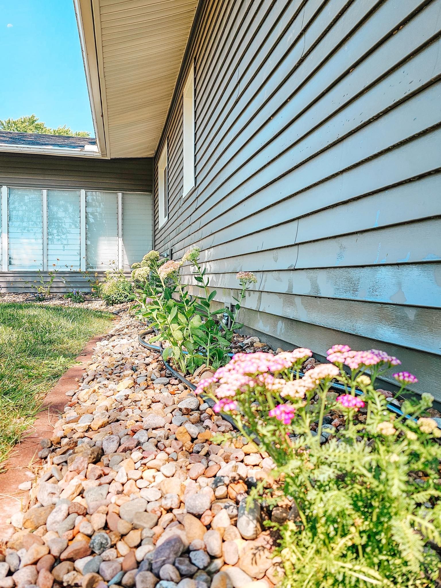 A side view of a house with light grey siding, a stone bed with blooming pink yarrow, and large windows under an overhang.