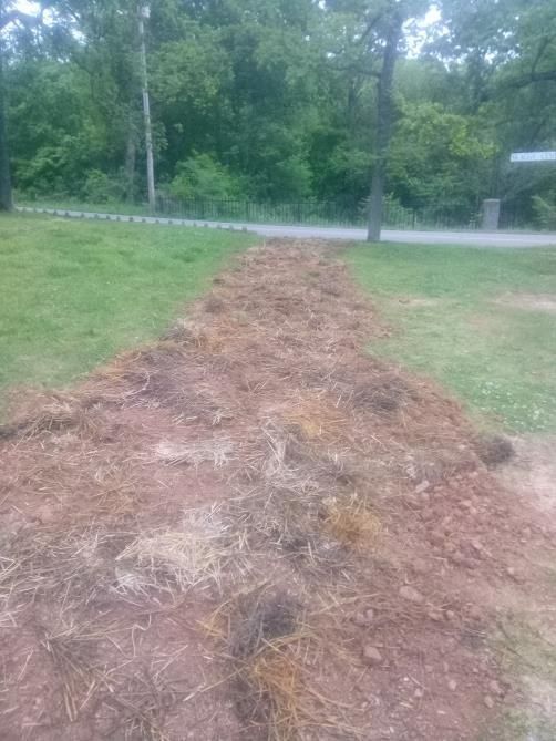 A long, tilled garden bed with brown soil and straw, ready for planting, in a grassy area near trees.