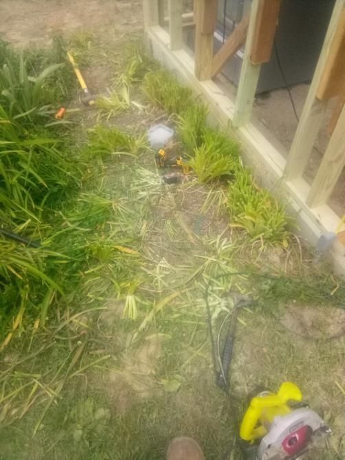 Grass and debris next to a wooden structure, yellow saw visible.
