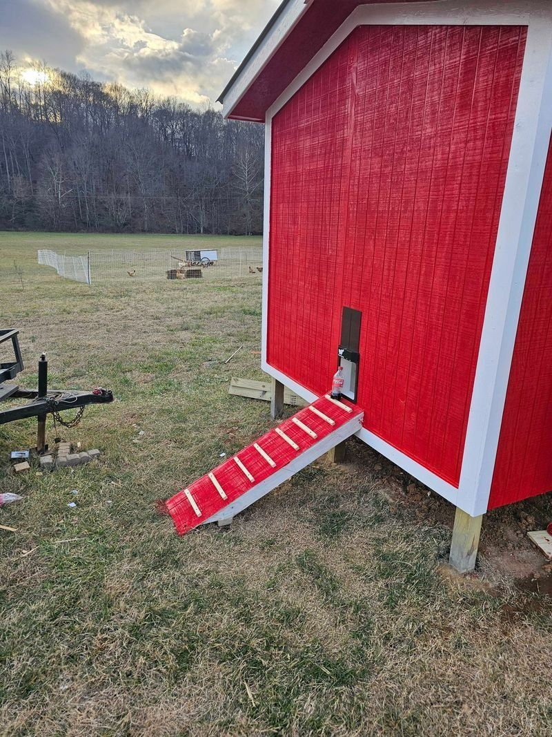 Red chicken coop with a ramp on a grassy field.