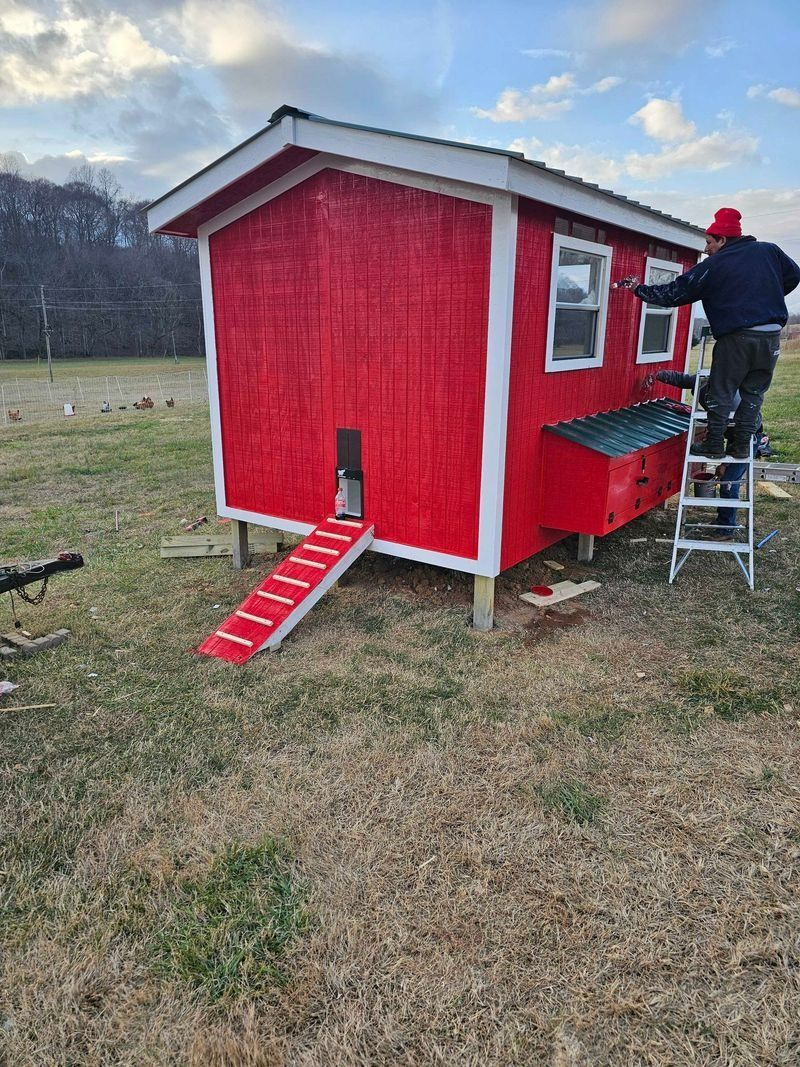 Person painting a red chicken coop, with white trim, a red ramp, and green roof in a grassy field.