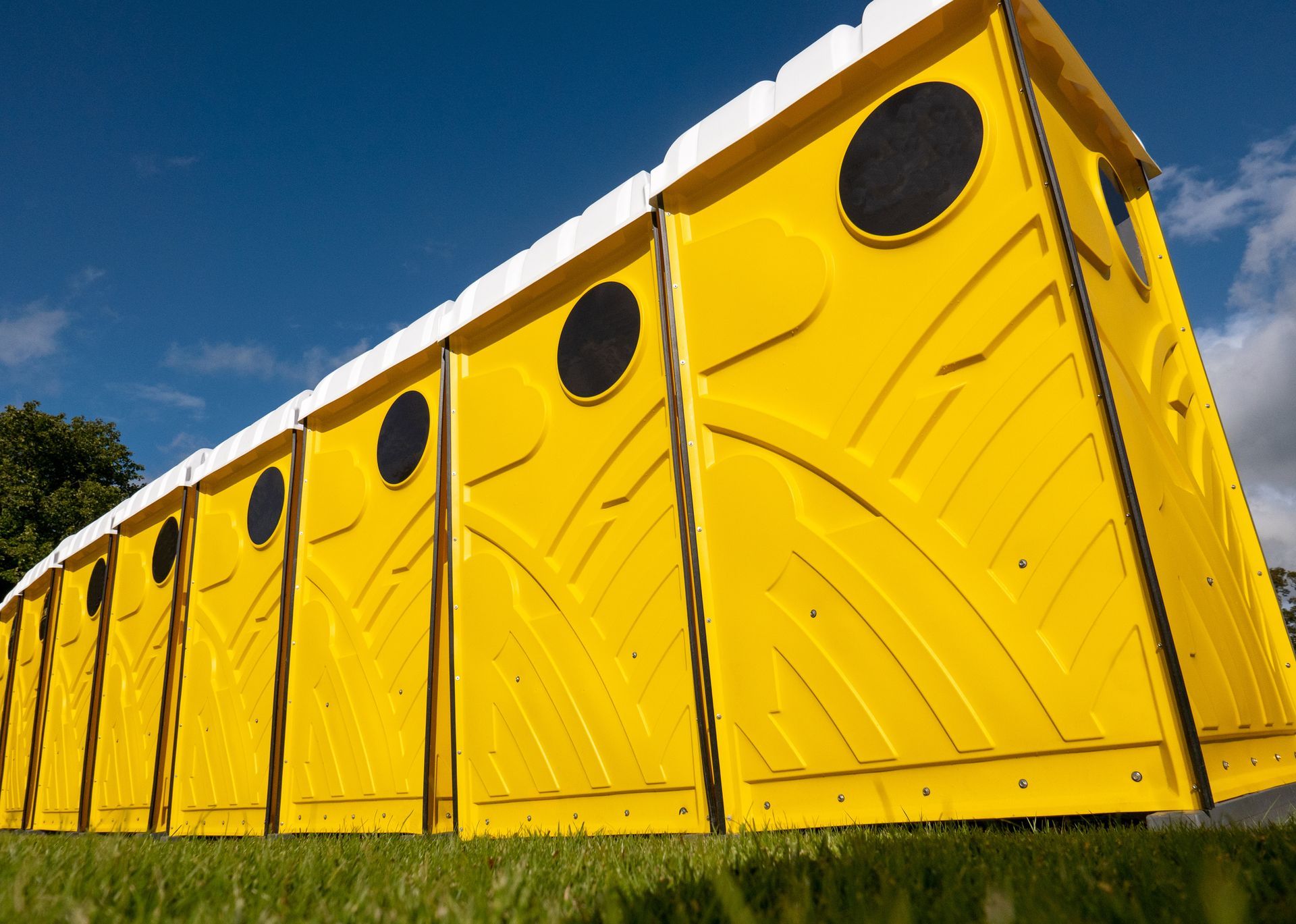 The back of a row of vibrant yellow portable chemical toilets being used at an outdoor event.