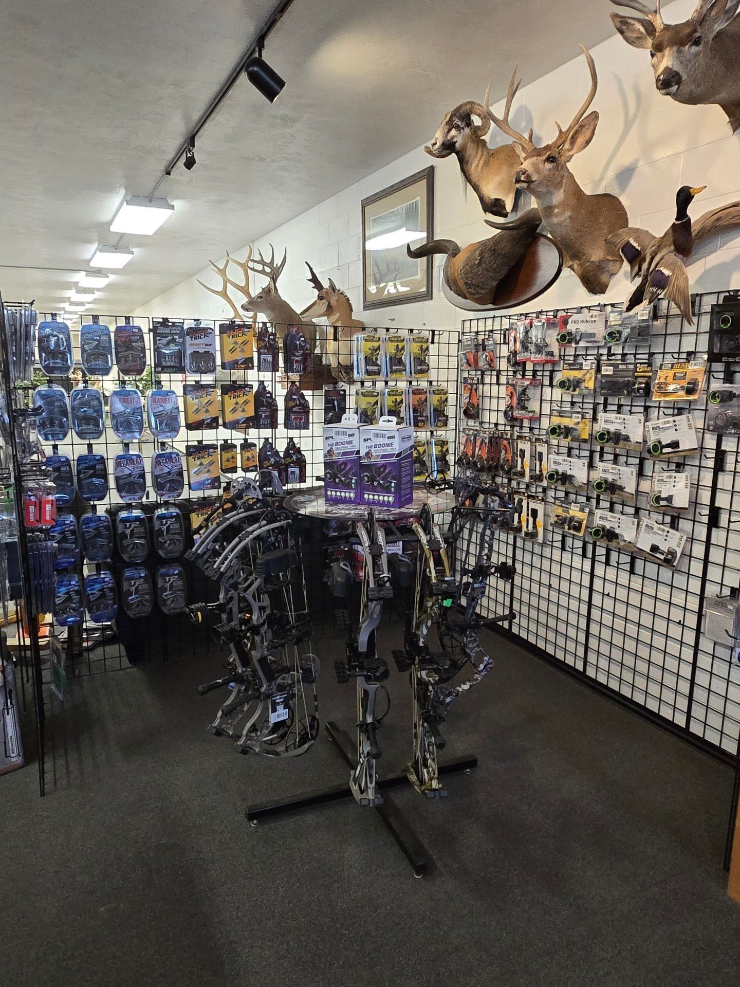 Hunting store interior with deer heads on walls, camo gear racks, and merchandise displays.