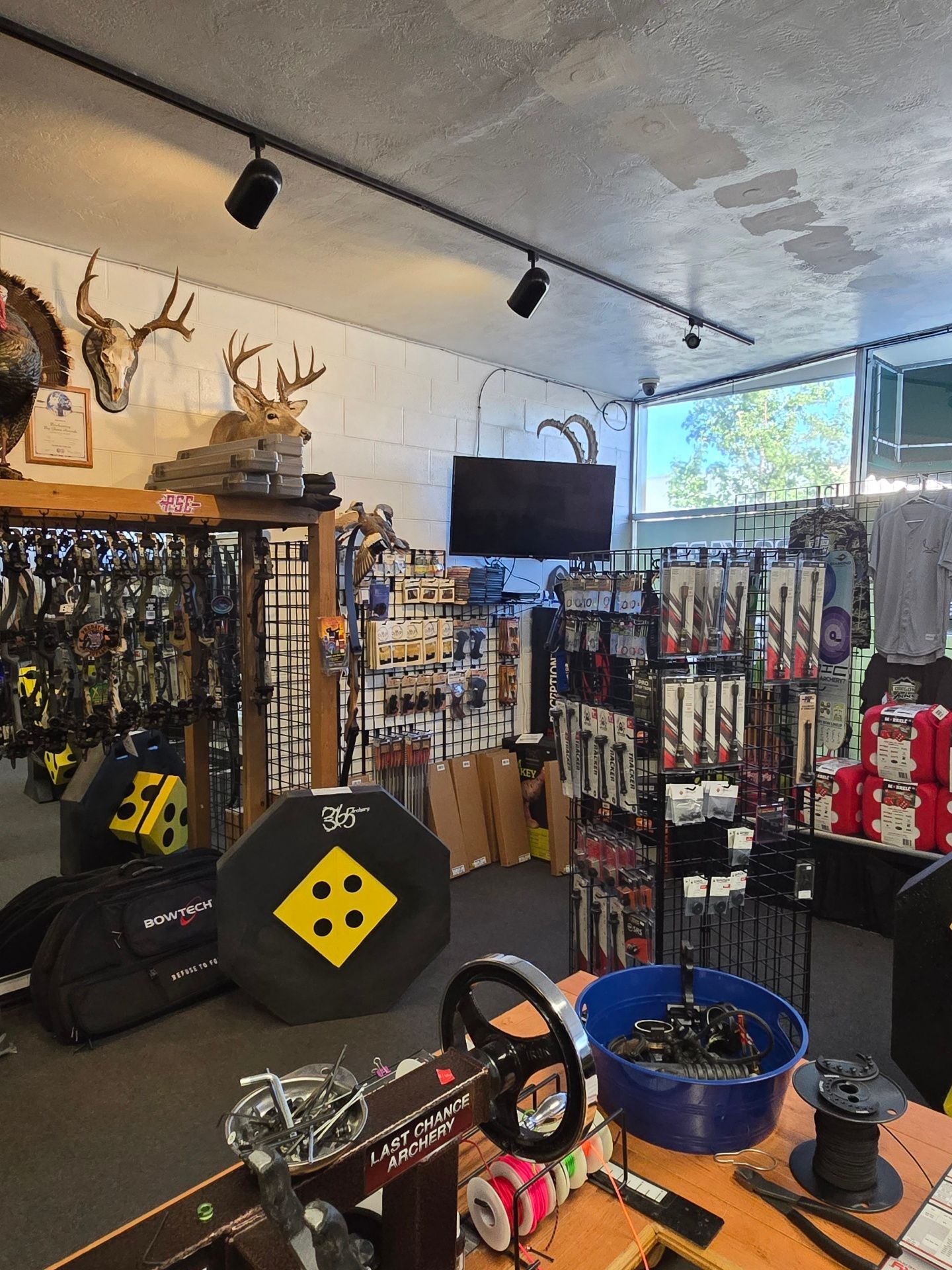 Clothing store display with camouflage and pink garments on racks, mounted deer heads on the wall.