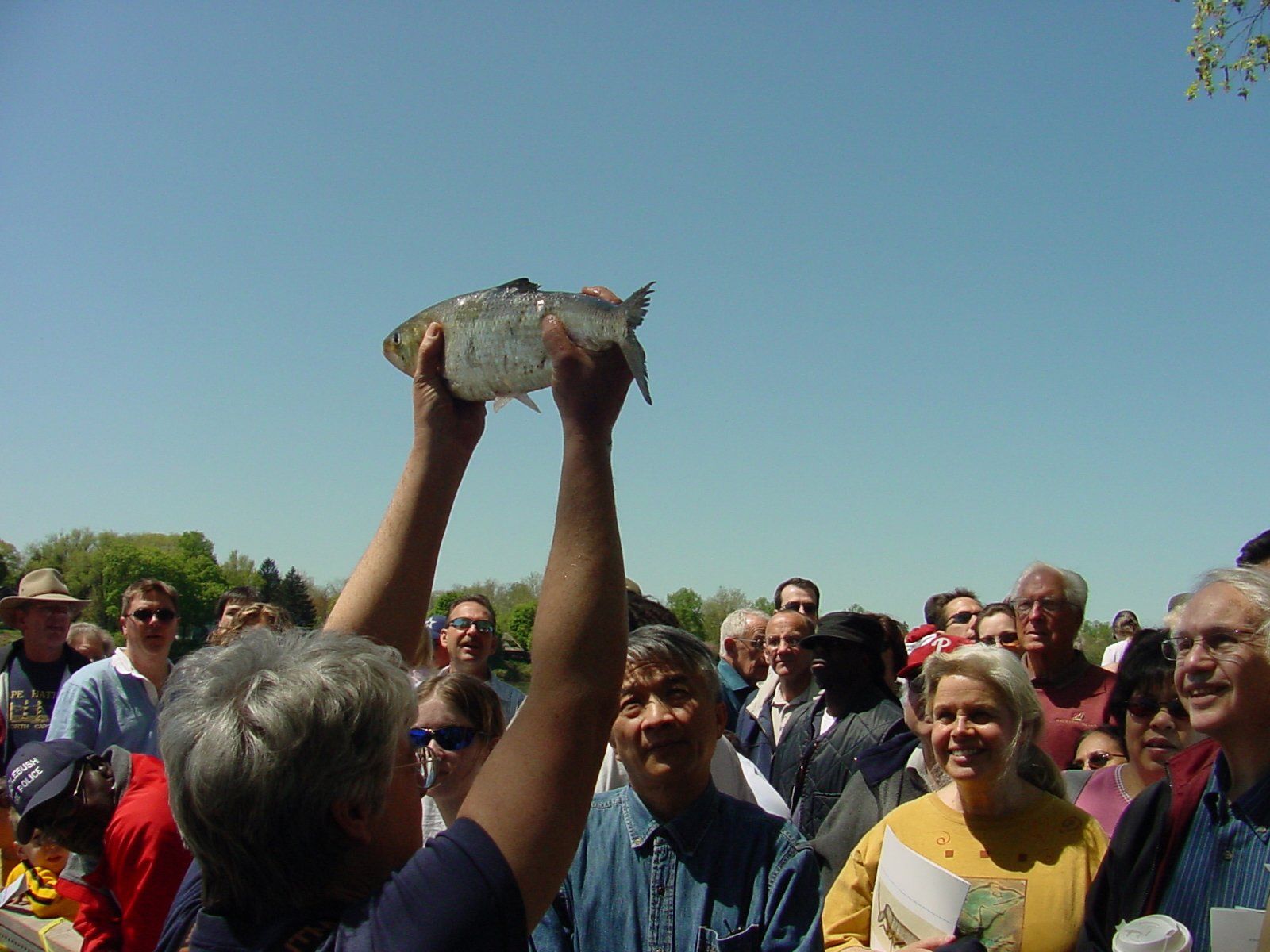 An individual holds up a shad in front of a crowd at the Lambertville, NJ Shad Fest in an undated photo from the Delaware River Basin Commission.