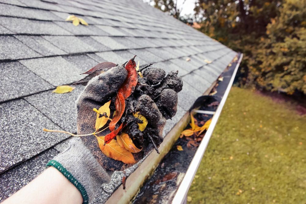 A person is holding leaves in a gutter on a roof.