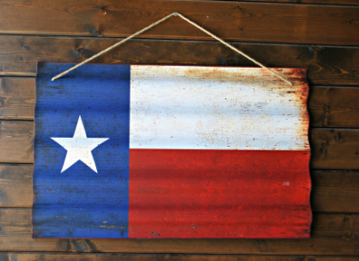 A texas flag hanging on a wooden wall