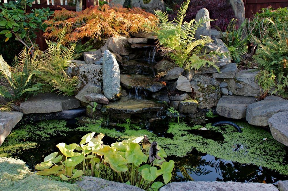 A Pond With A Waterfall In The Middle Of It — Baker & Co. Landscape Construction In Gulliver, QLD