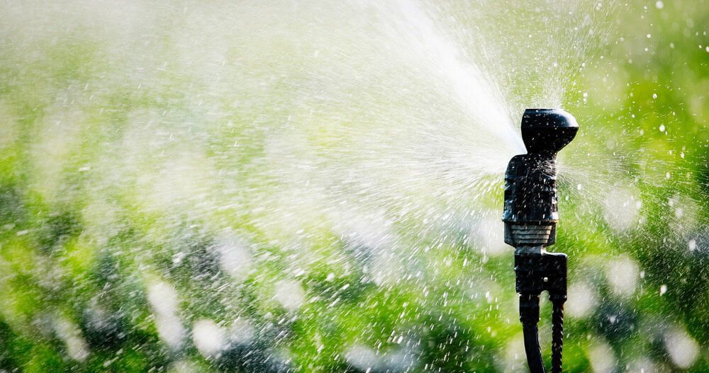 A Sprinkler Is Spraying Water On A Lush Green Field — Baker & Co. Landscape Construction In Gulliver, QLD