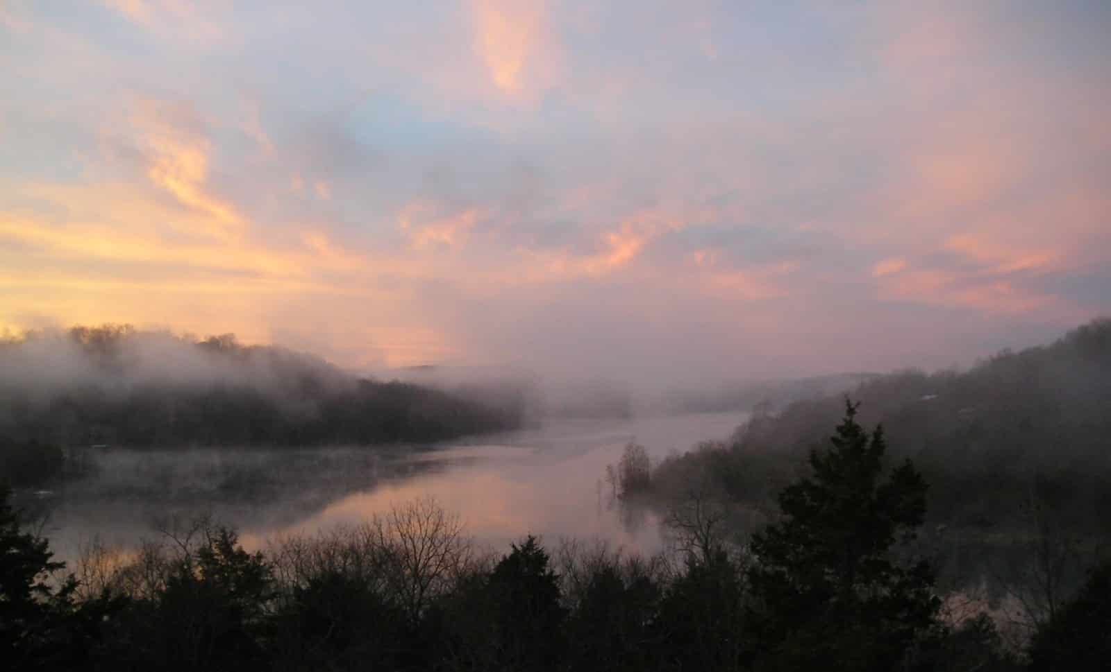 A foggy sunset over a lake with trees in the foreground.