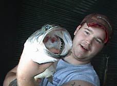 A man is holding a large fish in his hands.