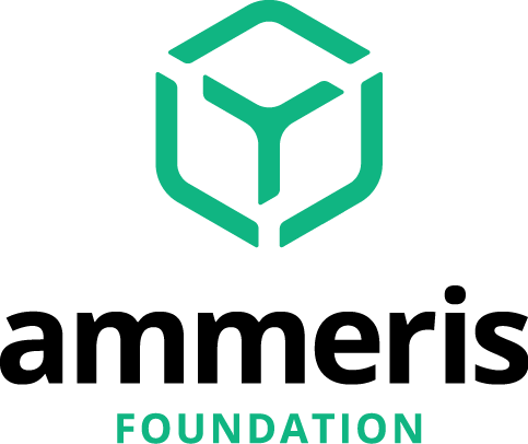 ammeris blockchain infrastructure