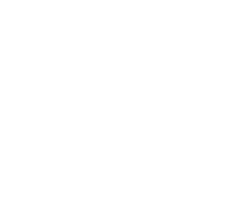 ammeris blockchain foundation light logo