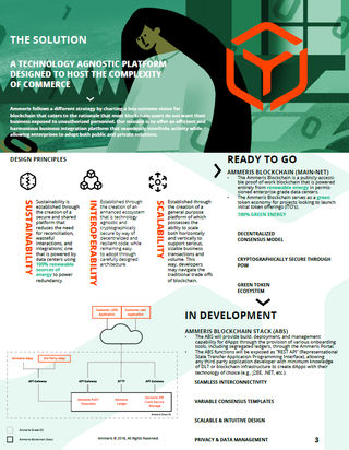 Ammeris Infographic