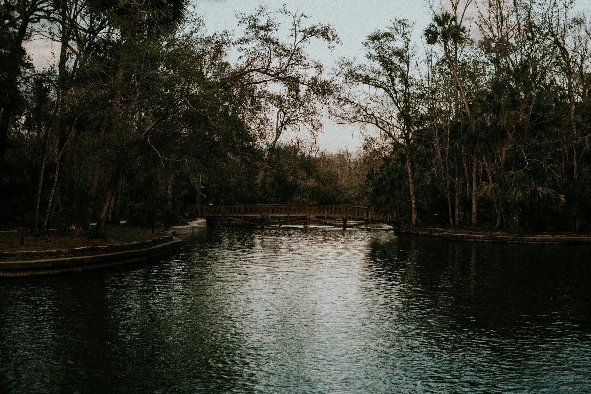 A tranquil river scene with a wooden bridge, framed by trees under a muted sky.