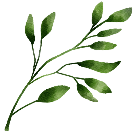 Watercolor illustration of green leaves on a branch.
