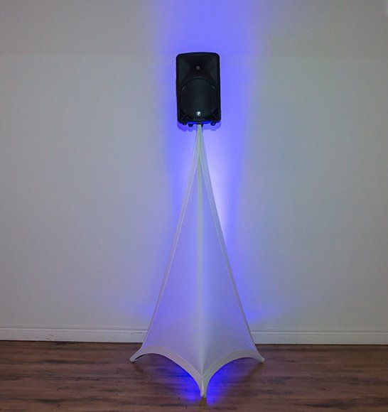 KC Wedding DJ Extra Speaker