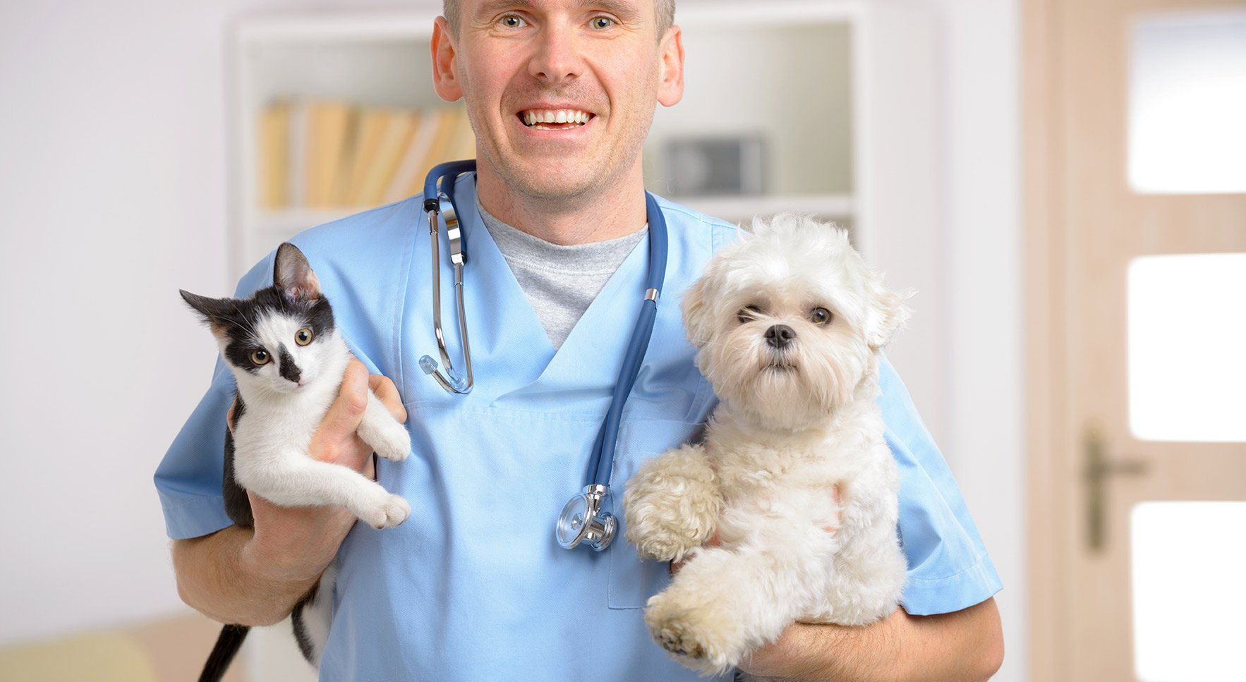 cat and dog with diabetes being held by veterinarian