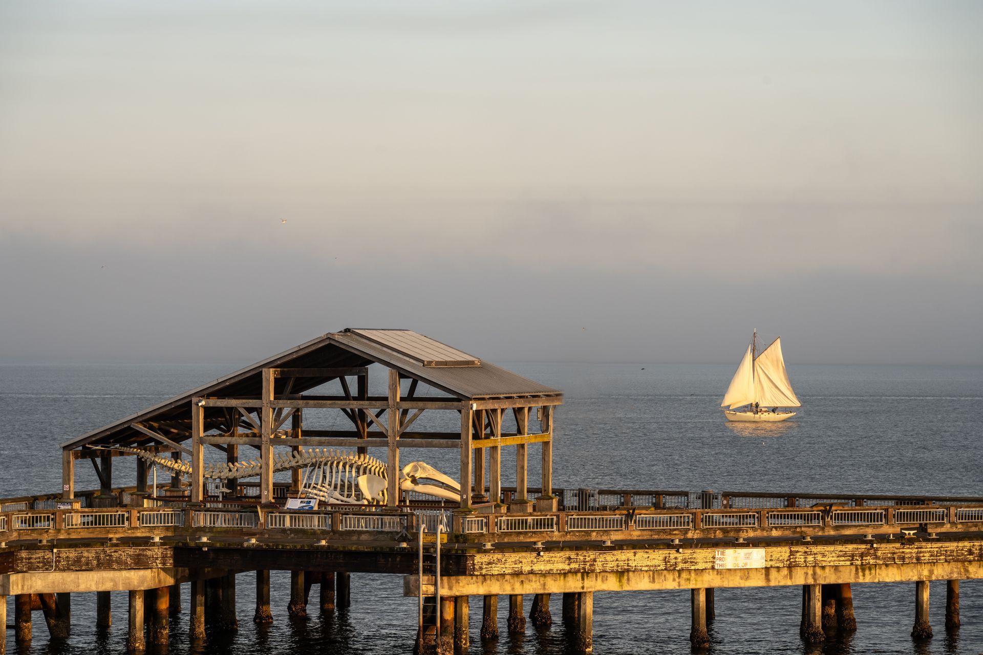 A sailboat is floating on the water near a pier.