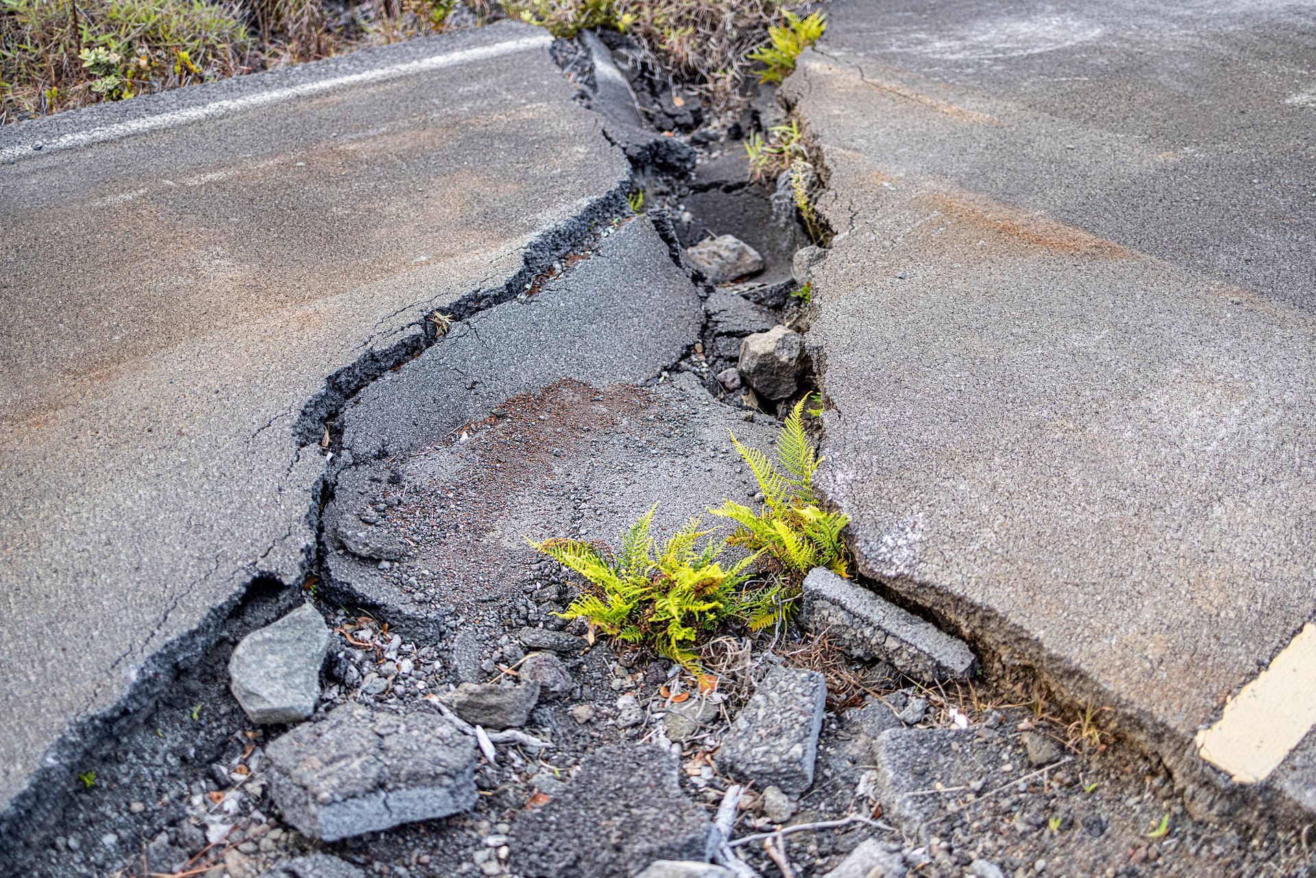 Cracked asphalt road, revealing earth and small green plants.