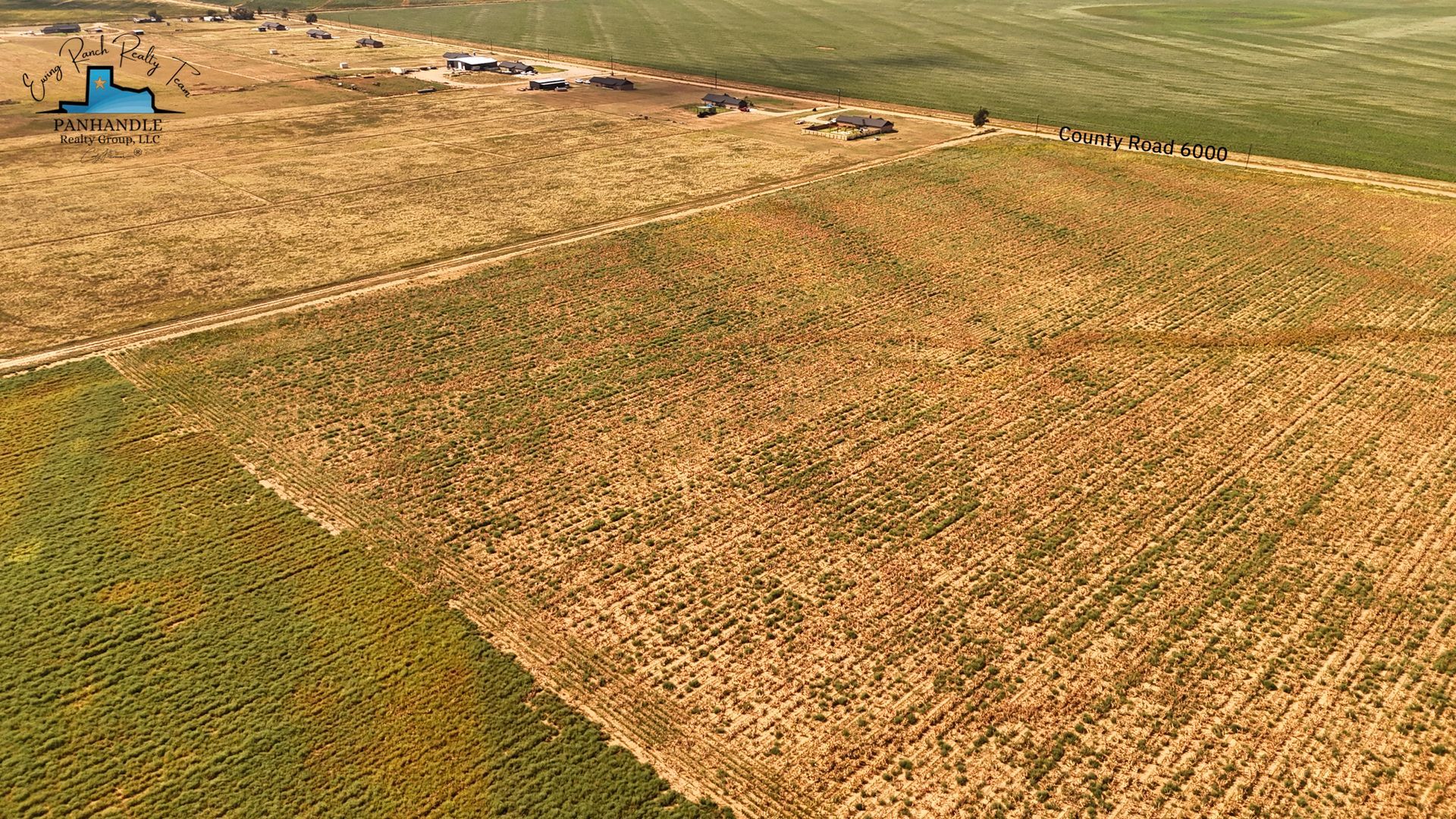 Fields of varying colors, golden and green, with a small building and livestock in the distance.